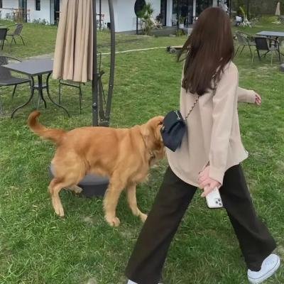 友谊的颜色